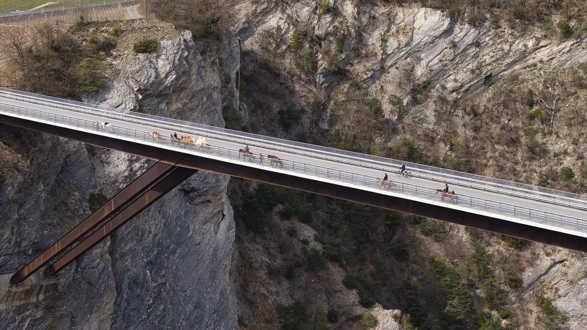 Hohe Brücke über die Dalaschlucht zwischen Leuk und Varen, darauf Reiter, ein Velofahrer und eine kleine Karawane mit Kamelen