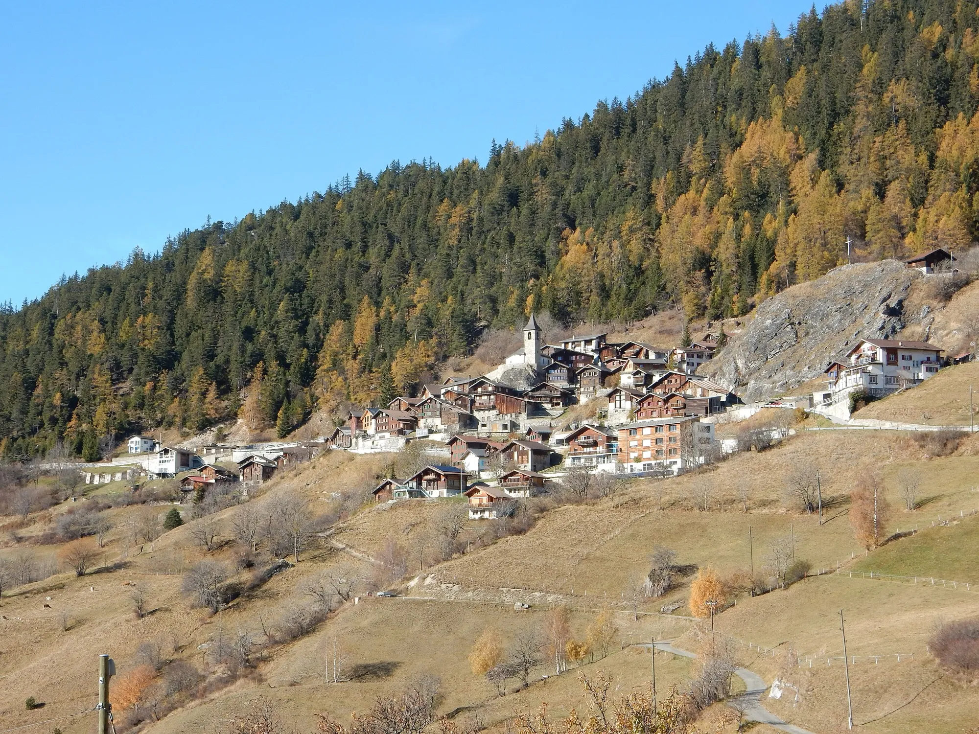 Das Dorf Guttet mit Holzhäusern und Kirche am Hang, darüber ein Wald mit gelben Lärchen