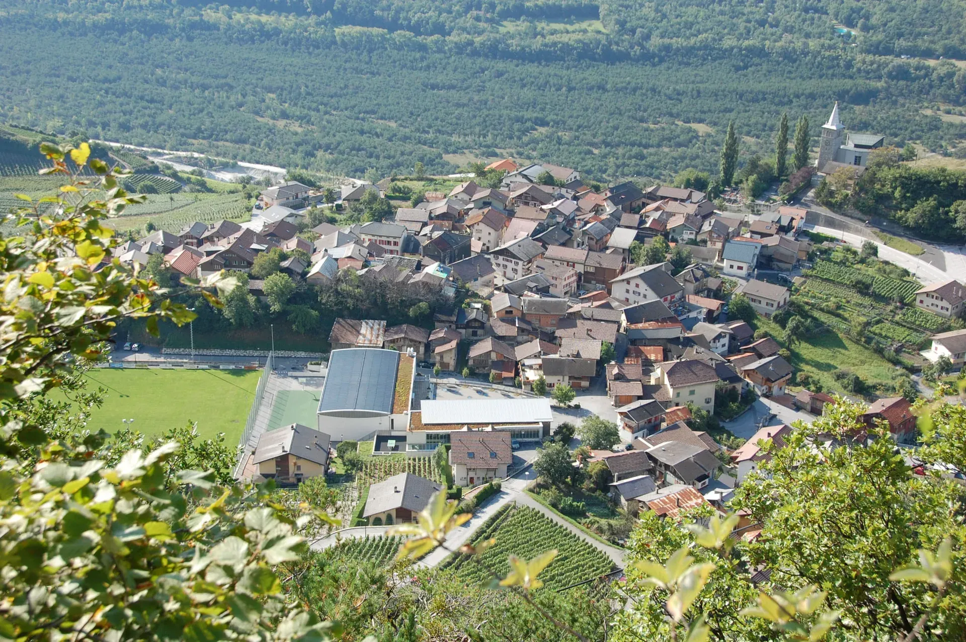 Ein Dorf mit vielen Dächern und einem Kirchturm, darum Reben und Wald